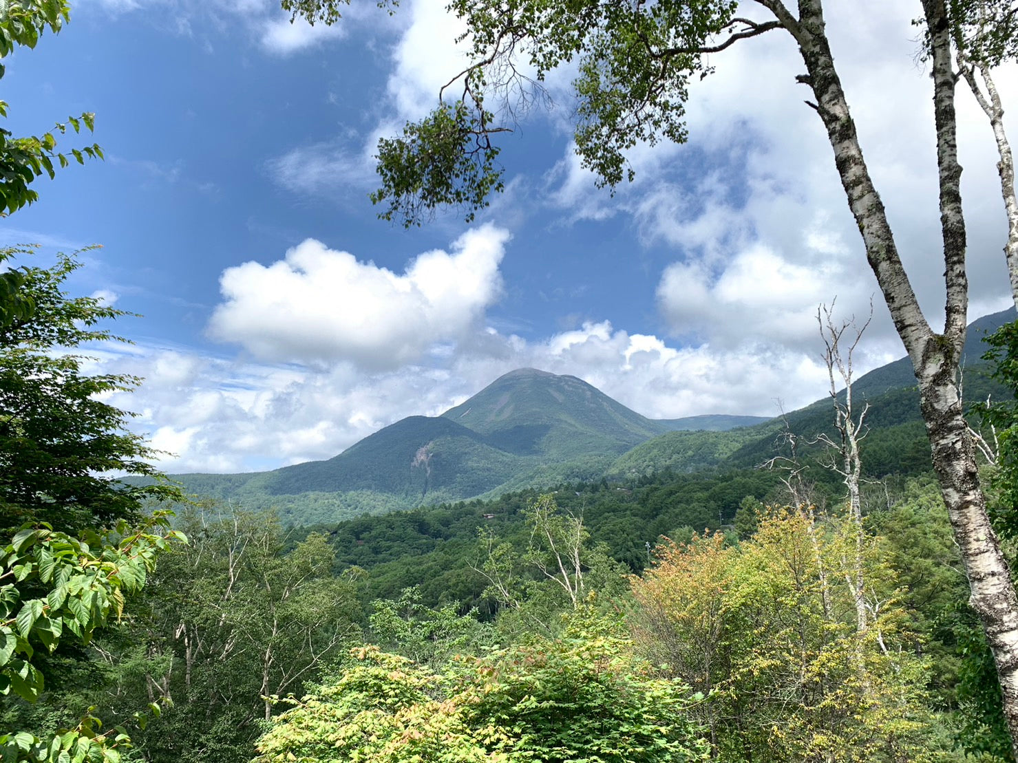 青空と緑に覆われた蓼科の山々