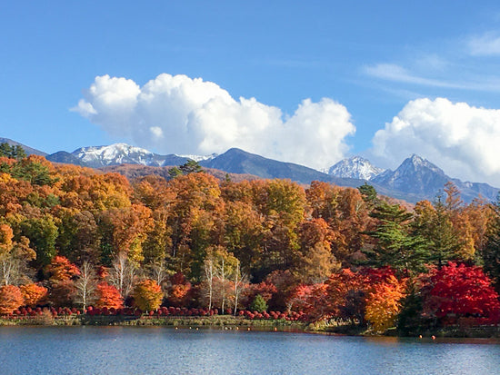 秋の蓼科湖　紅葉と湖